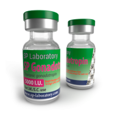 SP GONADOTROPINE 5000