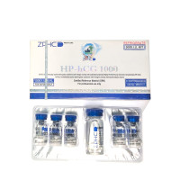 HP-hCG 1000 UI ZPHC